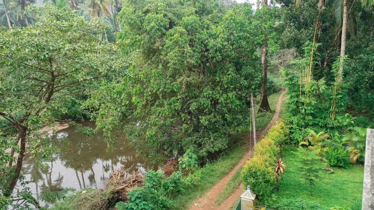 فندق Athirapilly On The Rocks أثيرابالي المظهر الخارجي الصورة