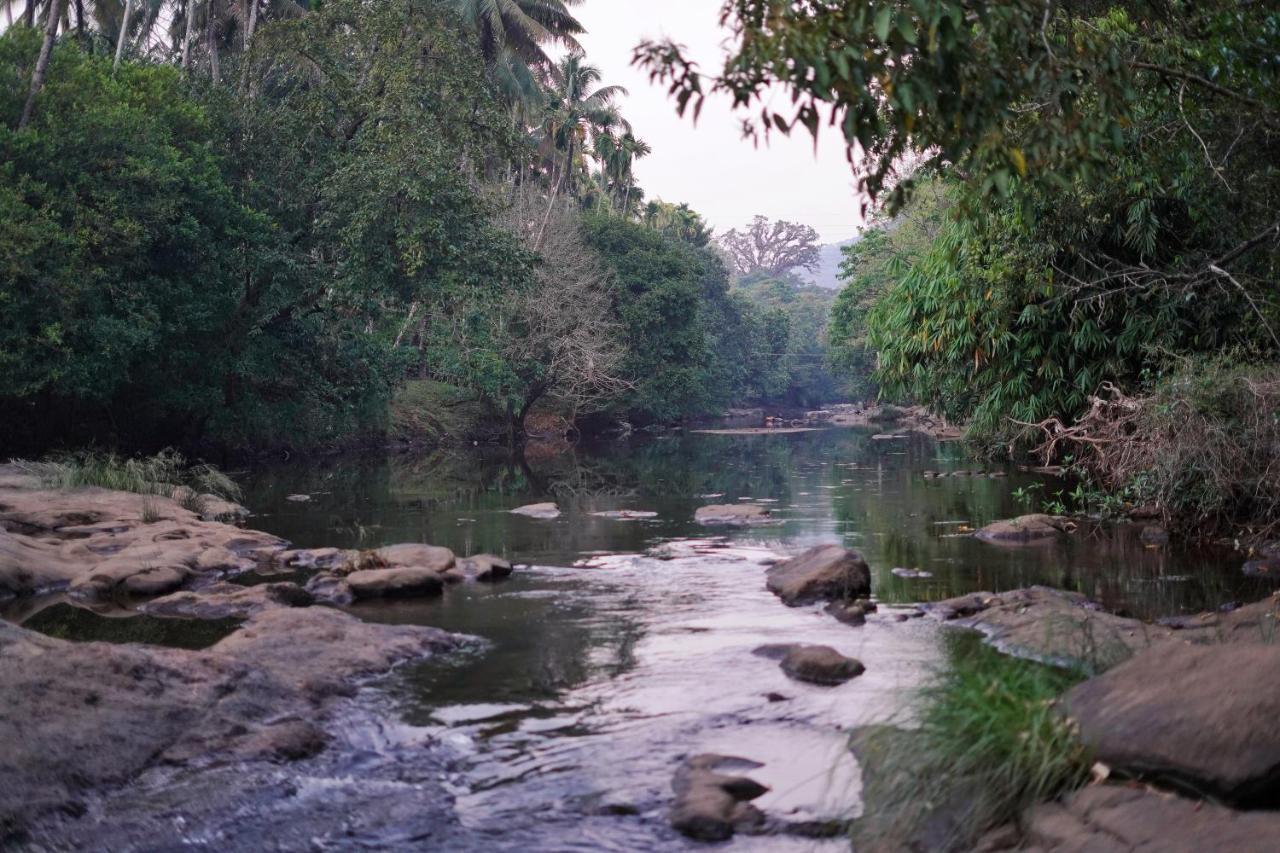 فندق Athirapilly On The Rocks أثيرابالي المظهر الخارجي الصورة